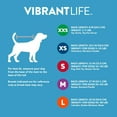 Vibrant Life Dog Sweater Fur FluenceSmall