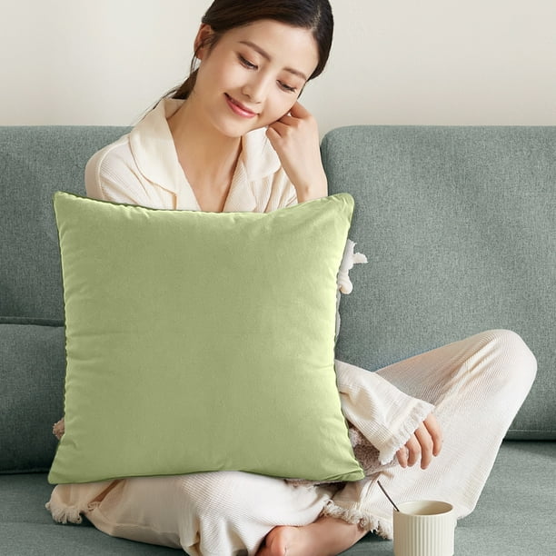 Juego de cojines para sofá de terciopelo esmerilado, para sala de estar, con jacquard de color liso, gruesos, para la cintura, reposacabezas de cama de terciopelo, cojines cuadrados para sofá de terci
