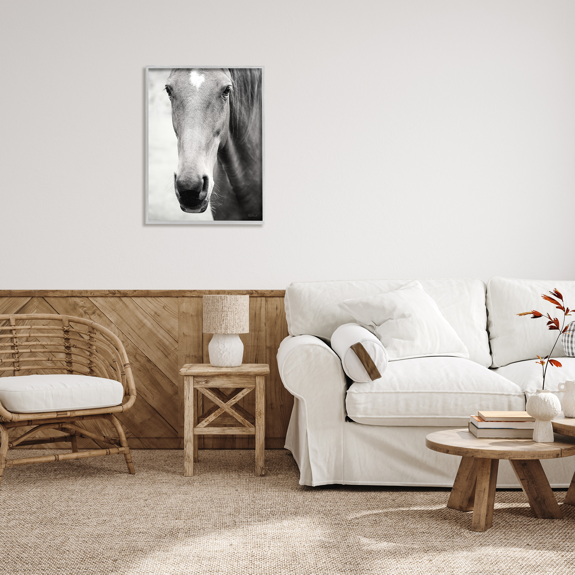 Stupell Industries Moke Lake Horse Photography Animals & Insects Photography Gray Framed Art Print Wall Art, 24 x 30