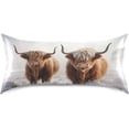thumbnail image 3 of Coolnut Highland Cow Satin Pillowcase for Hair and Skin Silk Pillowcase Soft Sleeping Pillow Covers Smooth Cooling Pillowcase with Envelope Closure Size Standard 20x30 in Home Decor Gifts, 3 of 7