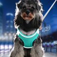 thumbnail image 4 of MADDEN-Conjunto de arnés para perro y gato, chaleco reflectante, transpirable, ajustable, para mascotas pequeñas y medianas, para caminar al aire libre, 4 of 4