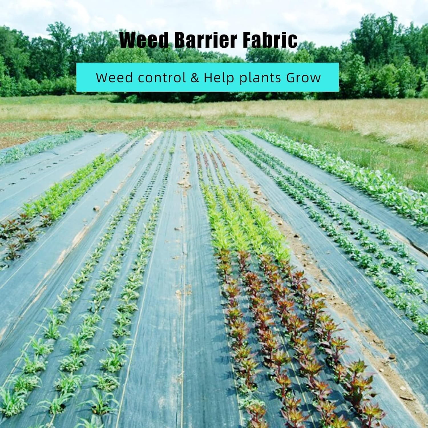 5 oz Weed Barrier Landscape Fabric 4 ft x 250 ft – Heavy Duty Ground Cover for Weed Control & Erosion Prevention – High Permeability UV Stabilized – for Garden, Flower Beds, Landscaping
