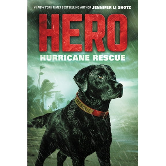 Pre-Owned Hero: Hurricane Rescue (Paperback) 0062560433 9780062560438