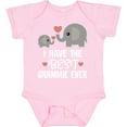 thumbnail image 3 of Inktastic Grandkids Best Grammie Ever Boys or Girls Baby Bodysuit, 3 of 5