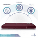 thumbnail image 3 of Sofá Cama Plegable - Individual - Vino MEMORY FOAM HOME SOFA CAMA COZY, 3 of 9