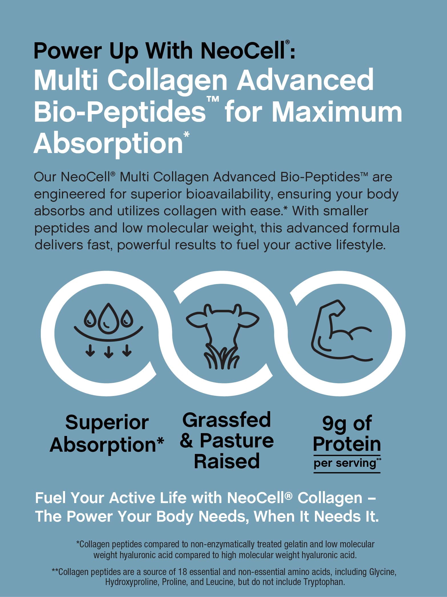Multi Collagen Bio-Peptides Powder | 22oz with Hyaluronic Acid and Vitamin C | Grass fed Protein Supplement | by NeoCell
