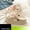 White and pink [Black Label Premium Edition], variant on Cherry Cat cute versatile clogs for girls, travel thick-soled non-slip odor-resistant EVA closed-toe sandals, fashionable, comfortable, and versatile