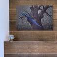 thumbnail image 5 of Luxe Metal Art 'Blue And Yellow Macaw In Burned Forest' by Harro Maass, Metal Wall Art, 16"x12", 5 of 9