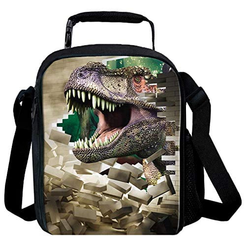 childrens dinosaur lunch box