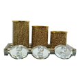 thumbnail image 1 of Amazing Rugs CAND4SG1120 Ambrose Exquisite Three Glass Canister & Tray Gift Set, Gold, 1 of 1
