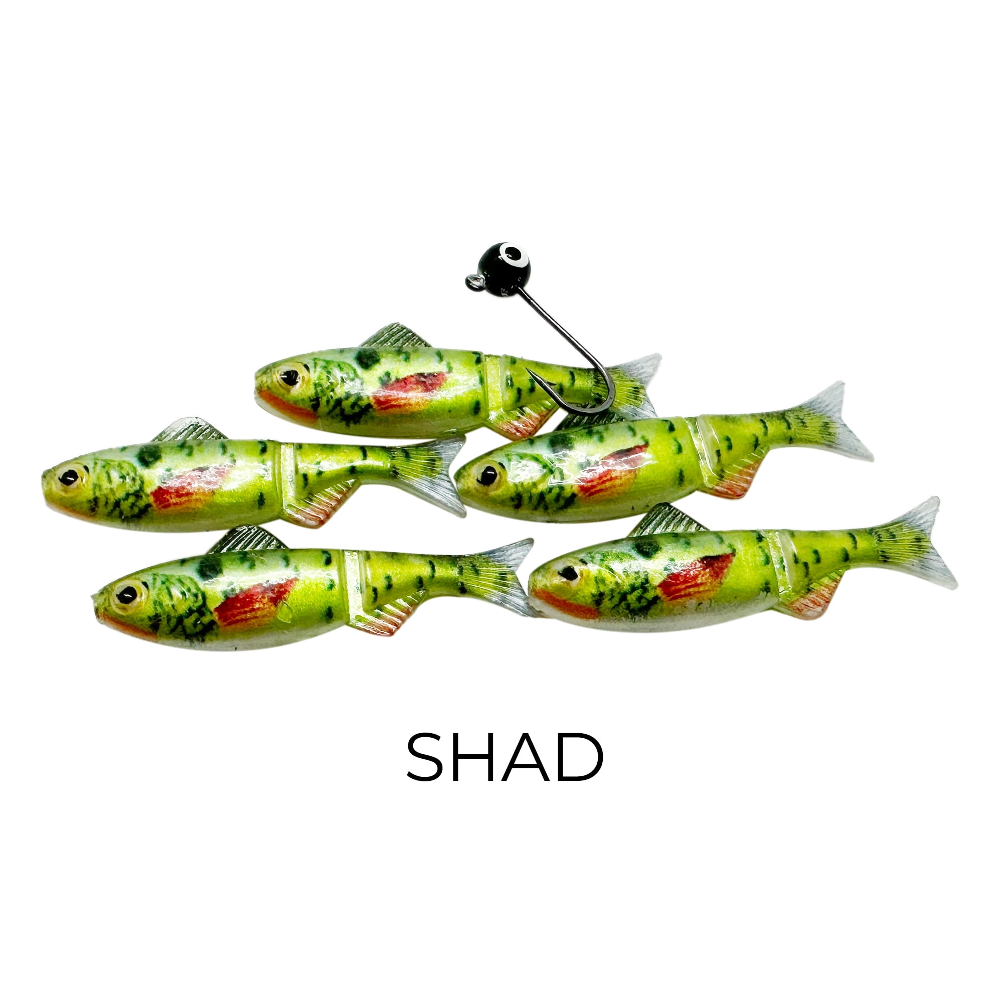 Reno Bait Company Keystone Jig Minnow Kit 1/16 oz with 8 Patterns, 40-Piece