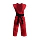 thumbnail image 3 of 1:12 Figuras de acción a escala Samurai Kimono Outfits Accesorios Caballero de muñecas de disfraz de modelos blandos 6 "Figuras de lucha contra judo rojo, 3 of 8