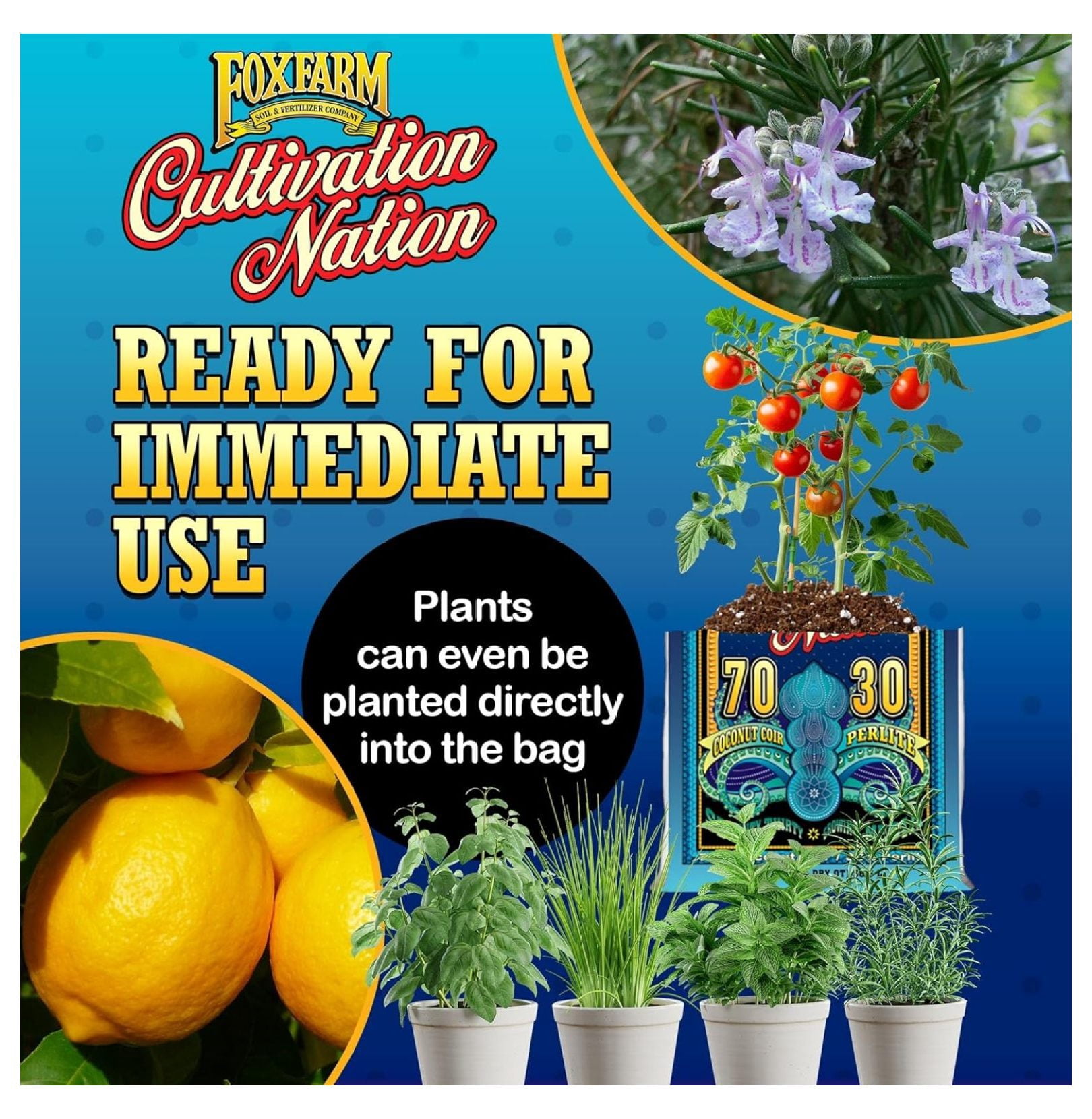 Cultivation Nation 70:30 Growing Media, 2cu ft - Mix of Coconut Coir and Perlite - Provides Aeration and Drainage, Use for Indoor/Outdoor Container Gardens