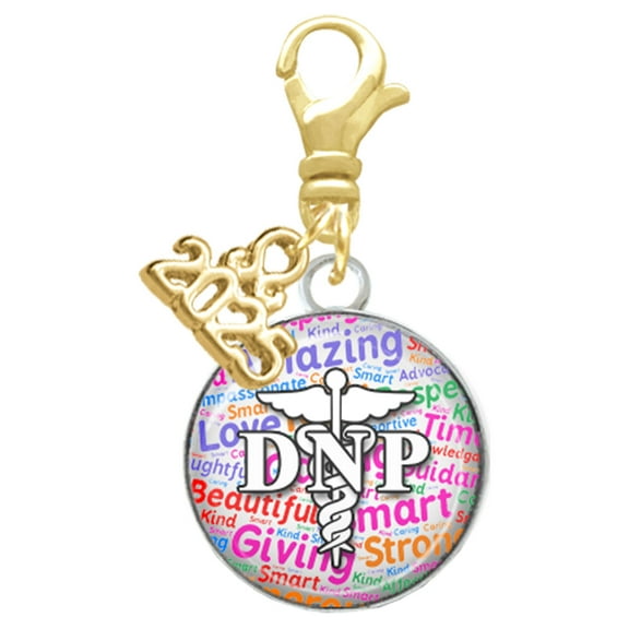 Delight Jewelry Silver-tone Domed Multi Color DNP - Gold-tone Clip on Charm with Mini Year 2025
