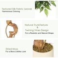 thumbnail image 7 of Ficus Artificial Tree with Curved Trunk，Faux Plant Fake Silk Trees with White Pot, Fake Ficus Tree for Home Decor, Indoor Outdoor House Living Room, 7 of 7