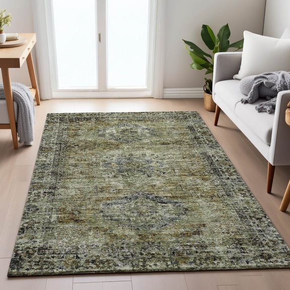 Addison Rugs Chantille Indoor/Outdoor Traditional Global Aloe Machine Washable Rectangle Rug, 10' x 14'