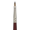 thumbnail image 1 of CEPILLO REAL ROYAL BRUSH  RYL950202, 1 of 1