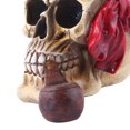 thumbnail image 2 of Escultura De Cabeza De Calavera Cabeza de calavera de Halloween de 6,3 pulgadas, valor colectivo, regalo perfecto para dormitorio, sala de estar, 2 of 8