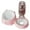 Pink_Base#4355, variant on Automatic Pet Feeder and Waterer Set | Non-Slip Plastic & Ceramic Double Bowl | Self-Filling Water Dispenser | Partitioned Food & Water Design | 350ml Capacity | 25.5x16x14.5cm | Easy Clean | Yellow