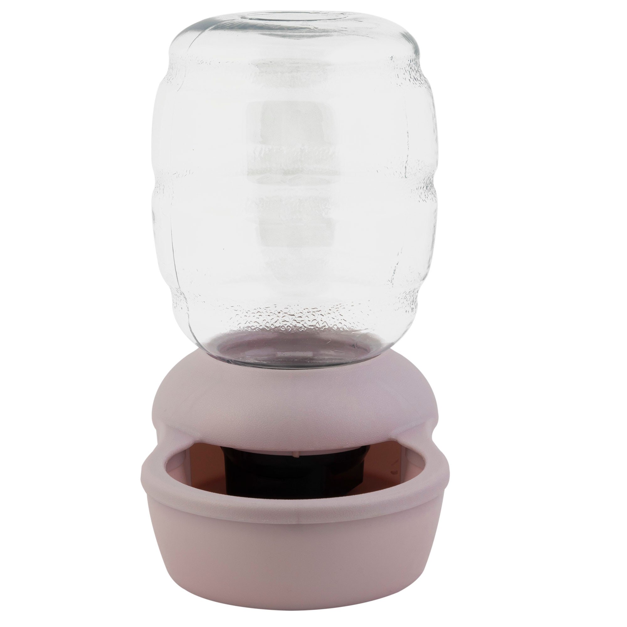 Petmate Filtered Gravity Waterer for Cats Violet Small 0.5 Gallons