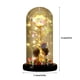 thumbnail image 2 of Rosa iluminada en cúpula de cristal, regalo de rosa preservada for siempre for mamá, esposa, decoración del día de San Valentín, 2 of 7