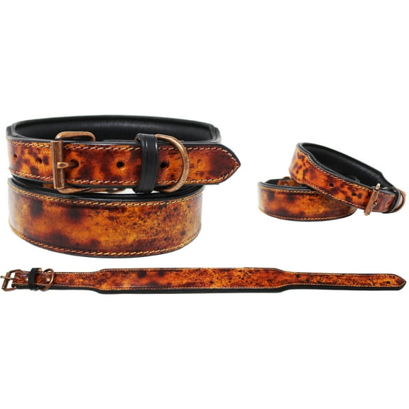 Small 13''- 17'' Padded Leather Dog Collar Heavy Duty Rustic Rugged Challenger 60FK30