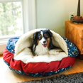 thumbnail image 2 of Snoozer Luxury Cozy Cave Dog Bed, 2 of 2