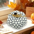 thumbnail image 5 of WKSCLPAI Halloween Knitted Pumpkin Decoration Gray Color Thanksgiving Festival Party Home Shelf Tabletop Display Ornament, 5 of 7