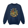 thumbnail image 1 of Harry Potter Boys Christmas Crest Sweatshirt, 1 of 3