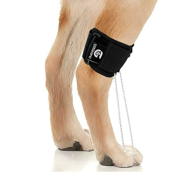 Dog Rear Leg Support Brace for Foot Drop, Canine Knuckling Prevention, Toe Dragging Assistance