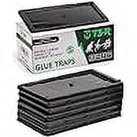 T3-R Sticky Traps for Bugs Extra Large (12 Pack) - Mouse and Insect Glue Boards - Disposable Non-Toxic Glue Traps for Mice and Rats - Extra Strength Sticky Glue Traps for Rodent