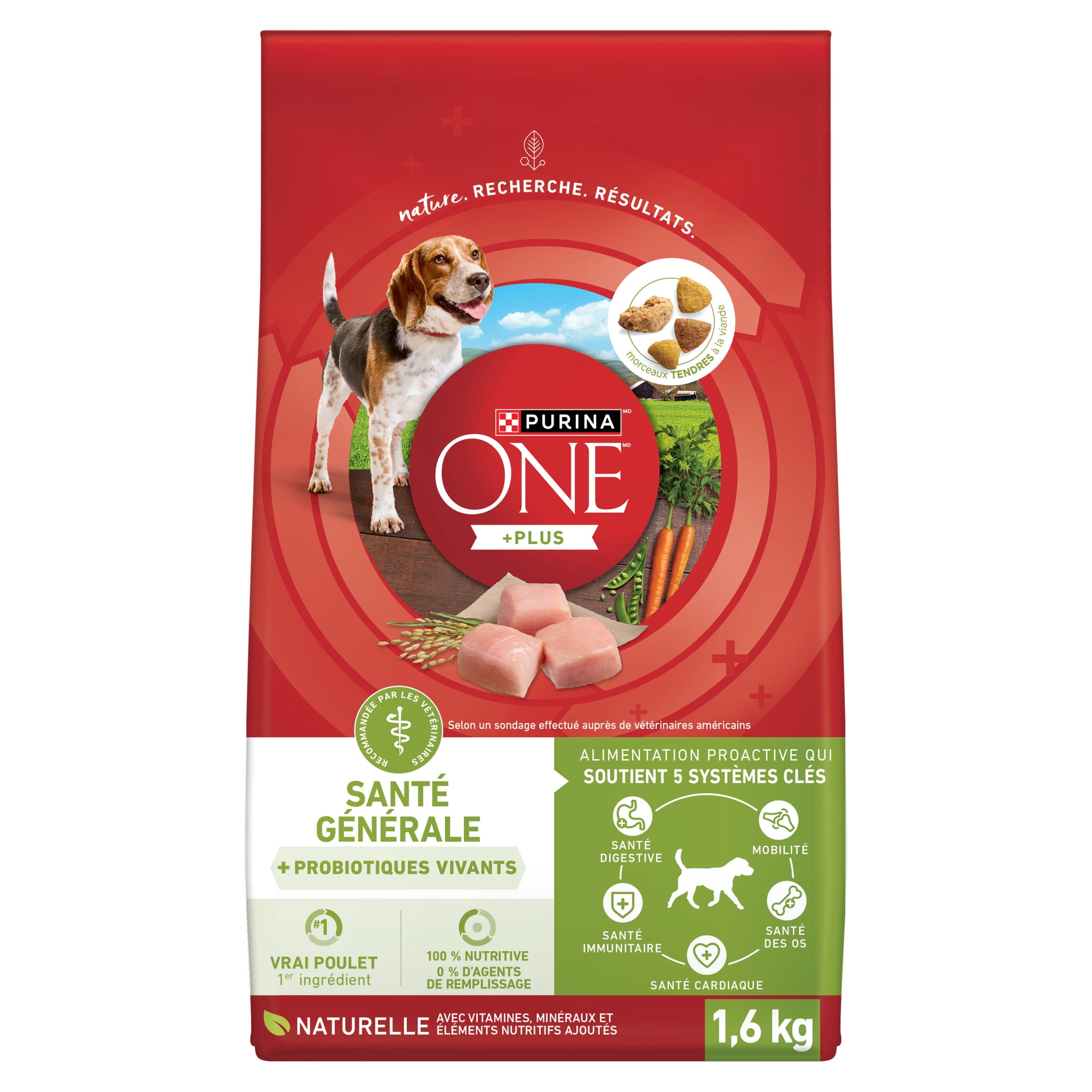 Purina ONE +Plus Whole Body Support with Real Chicken, Dry Dog Food, 1.6 kg