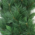 thumbnail image 2 of Northlight Mixed White Valley Pine with Pine Cones Artificial Christmas Wreath - 48" - Unlit, 2 of 3