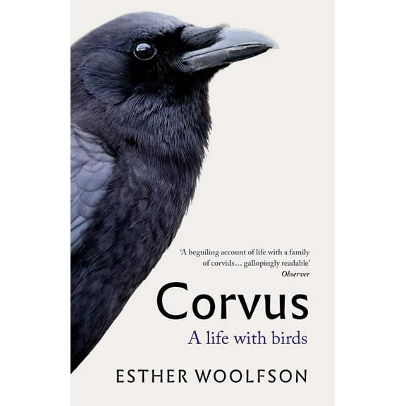 Corvus Esther Woolfson (Paperback)