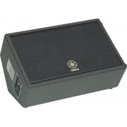 Club V Series 10" Floor Monitor