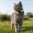 thumbnail image 7 of Mumup Rhinestone Cat Collar Breakaway, Soft Velvet Cat Collars with Bell, Adjustable Comfortable Cats Collar, 7.5-12.5 Inch for Cat, Kittens and Puppies, 7 of 7