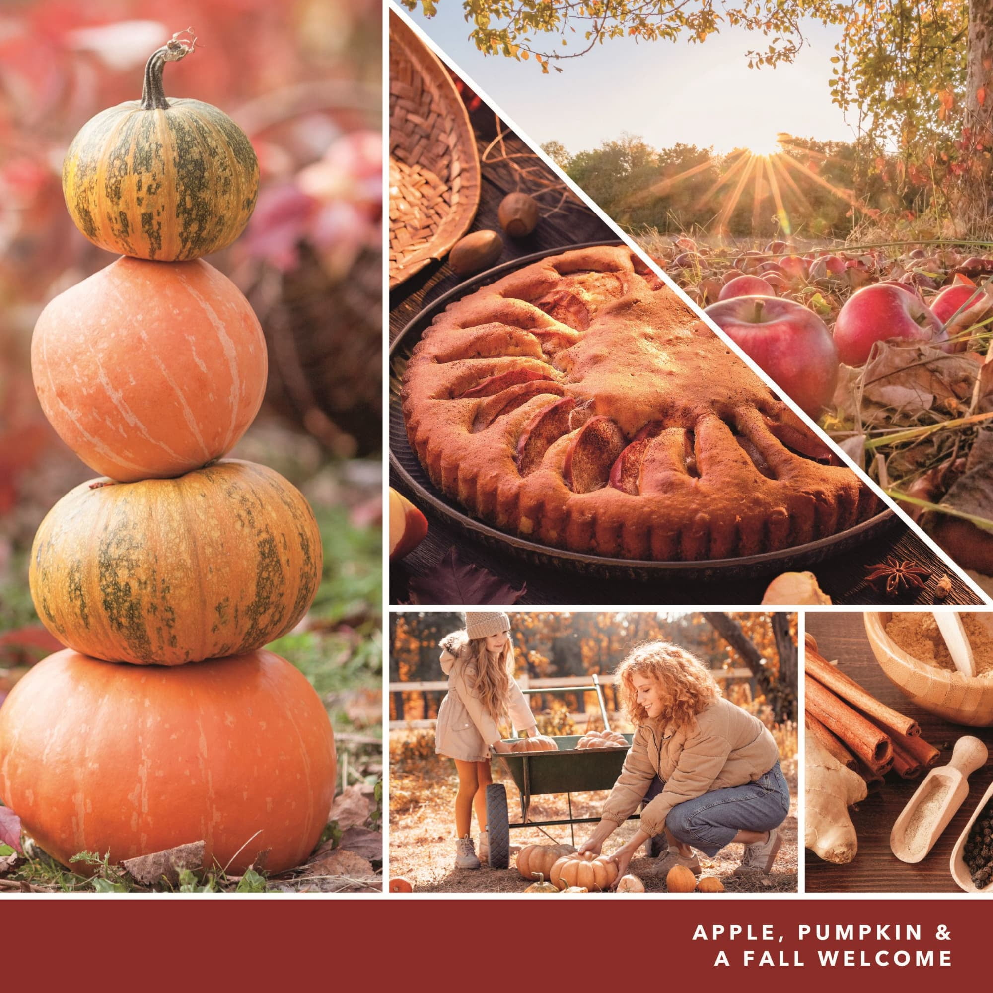 Yankee Candle Apple Pumpkin Original Large Scented Jar Candle, 22 oz