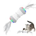 thumbnail image 4 of Greeniant Juguete interactivo para gatos, eléctrico, de velocidades, automático, giratorio, con luces de colores, recargable por USB, para Suministros para perros, 4 of 6