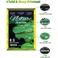 thumbnail image 2 of Cartuchos de tinta compatibles NEXTPAGE Reemplazo para Canon CLI42 8 Pack, 2 of 2