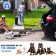 thumbnail image 5 of Escaleras plegables portátiles para perros Niubya para automóviles, SUV y camiones, 5 of 7