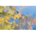 thumbnail image 2 of Mahan, Kathy 24x17 Gold Ornate Wood Framed with Double Matting Museum Art Print Titled - Tree Reflections II, 2 of 4