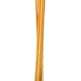 thumbnail image 4 of Vickerman 46" Dried Aspen Gold Pampas Grass 6 pack. It includes two stems. Recommended for Indoor., 4 of 6