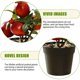 thumbnail image 4 of Mini bonsái de frutas, plantas artificiales creativas, decoración del hogar, simulación de plantas verdes, 4 of 5