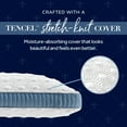 thumbnail image 7 of Stearns & Foster Studio Latex Pillow, Standard, 7 of 7