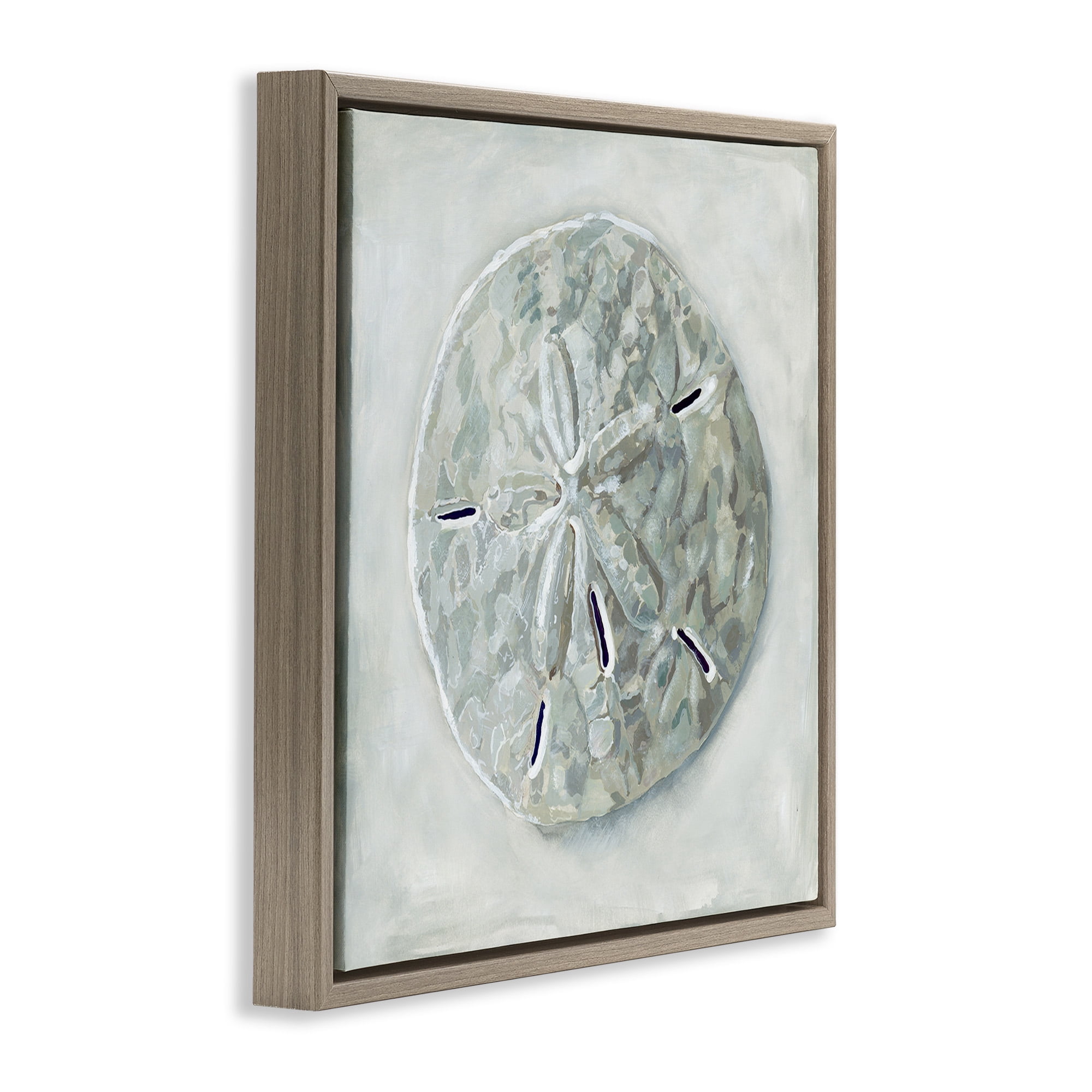 Stupell Industries Grey Sand Dollar Seashell Nature Painting Brown Floater Framed Canvas Art Print Wall Art, 25 x 25