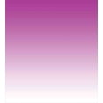 thumbnail image 3 of Ombre Duvet Cover Set, Romantic Violet Flowers Inspired Contour Style Modern Digital Design Art Print, Decorative 3 Piece Bedding Set with 2 Pillow Shams, Queen Size, Violet Purple, by Ambesonne, 3 of 3