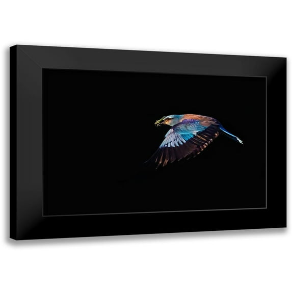 Chang, Phillip 24x17 Black Modern Framed Museum Art Print Titled - The Roller hunting