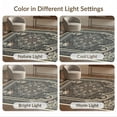 thumbnail image 7 of ODIKA 3'x5' Washable Throw Rug Stain Resistant, Low Profile, Non-Slip Gothic Haul Center Motif Decorative Border Scroll Corridor Grey for Entryway, Kitchen, Mudroom, 7 of 7