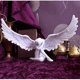 thumbnail image 1 of Angel Resin Ornaments Decoration Angel Girl Ornaments Garden Home Decoration, 1 of 4