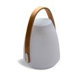 thumbnail image 1 of Neptune LED speaker lantern, 1 of 7